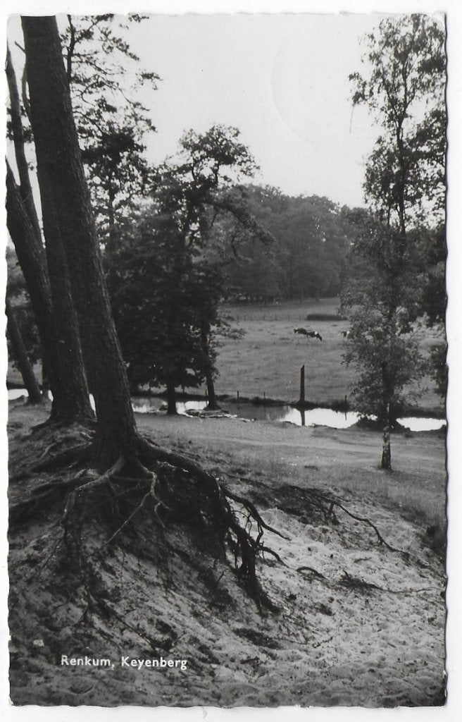 Renkum Keyenberg Oude Gelopen Ansichtkaart ( B1409), Verzamelen, Ansichtkaarten | Nederland, Ophalen of Verzenden, 1960 tot 1980