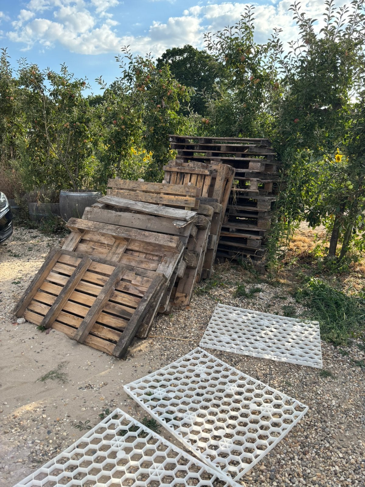 Houten pallets, Ophalen, Minder dan 25 mm, Zo goed als nieuw, Pallet