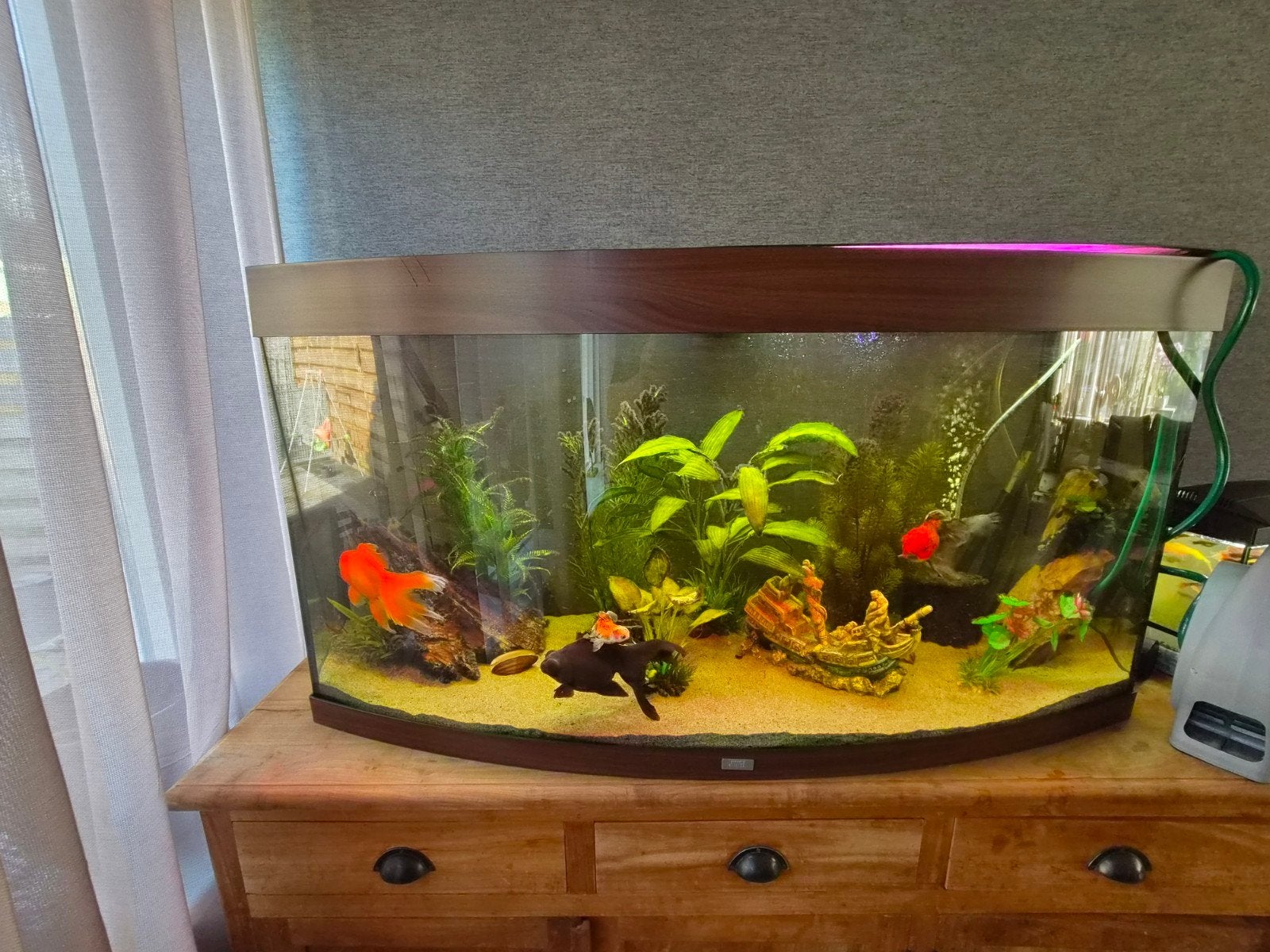 juwel vision 260 aquarium, Dieren en Toebehoren, Gebruikt, Ophalen of Verzenden, Juwel, Inclusief deksel