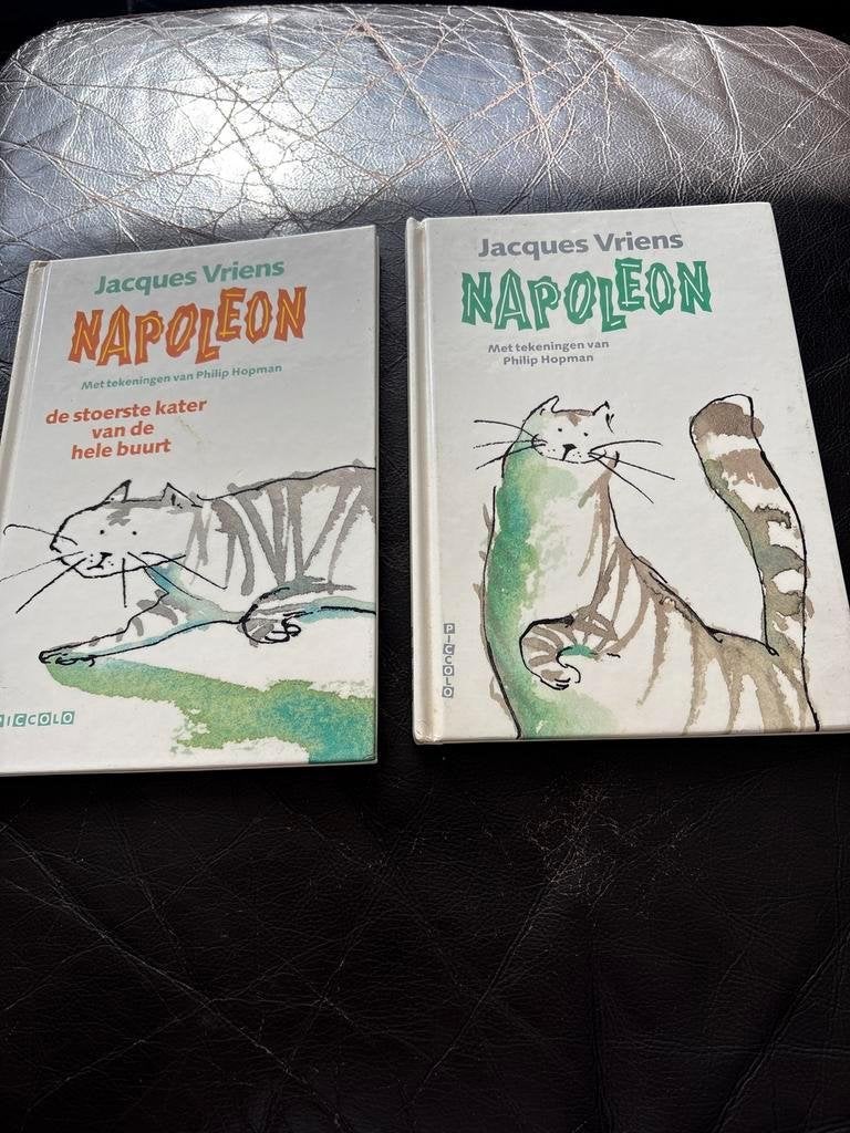 Jacques Vriens - Napoleon (2 boeken), Ophalen of Verzenden, Gelezen, Fictie algemeen
