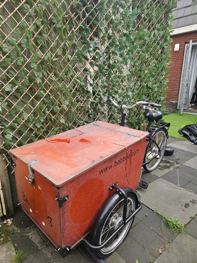Bakfiets, Fietsen en Brommers, Terugtraprem, Gebruikt, Goederen, Ophalen