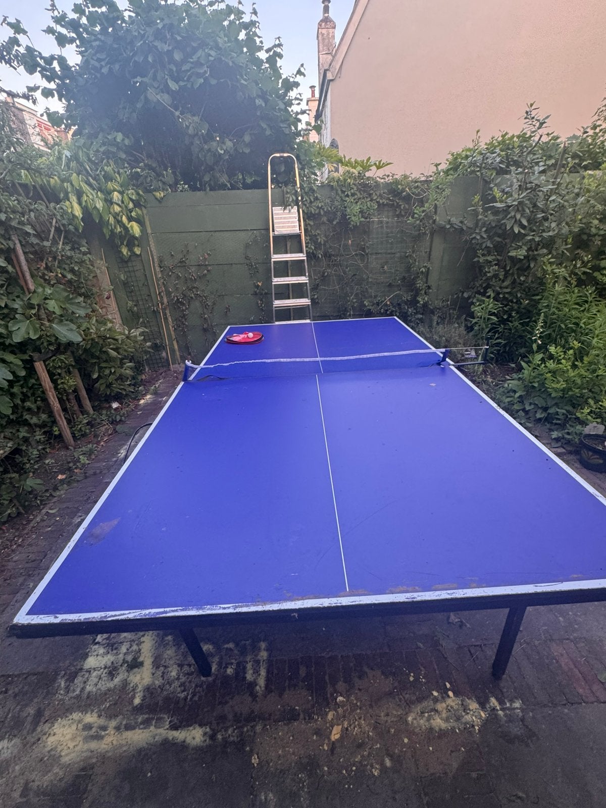 Gratis; pingpongtafel / tafeltennistafel, Sport en Fitness, Tafeltennis, Ophalen, Zo goed als nieuw, Tafel Indoor