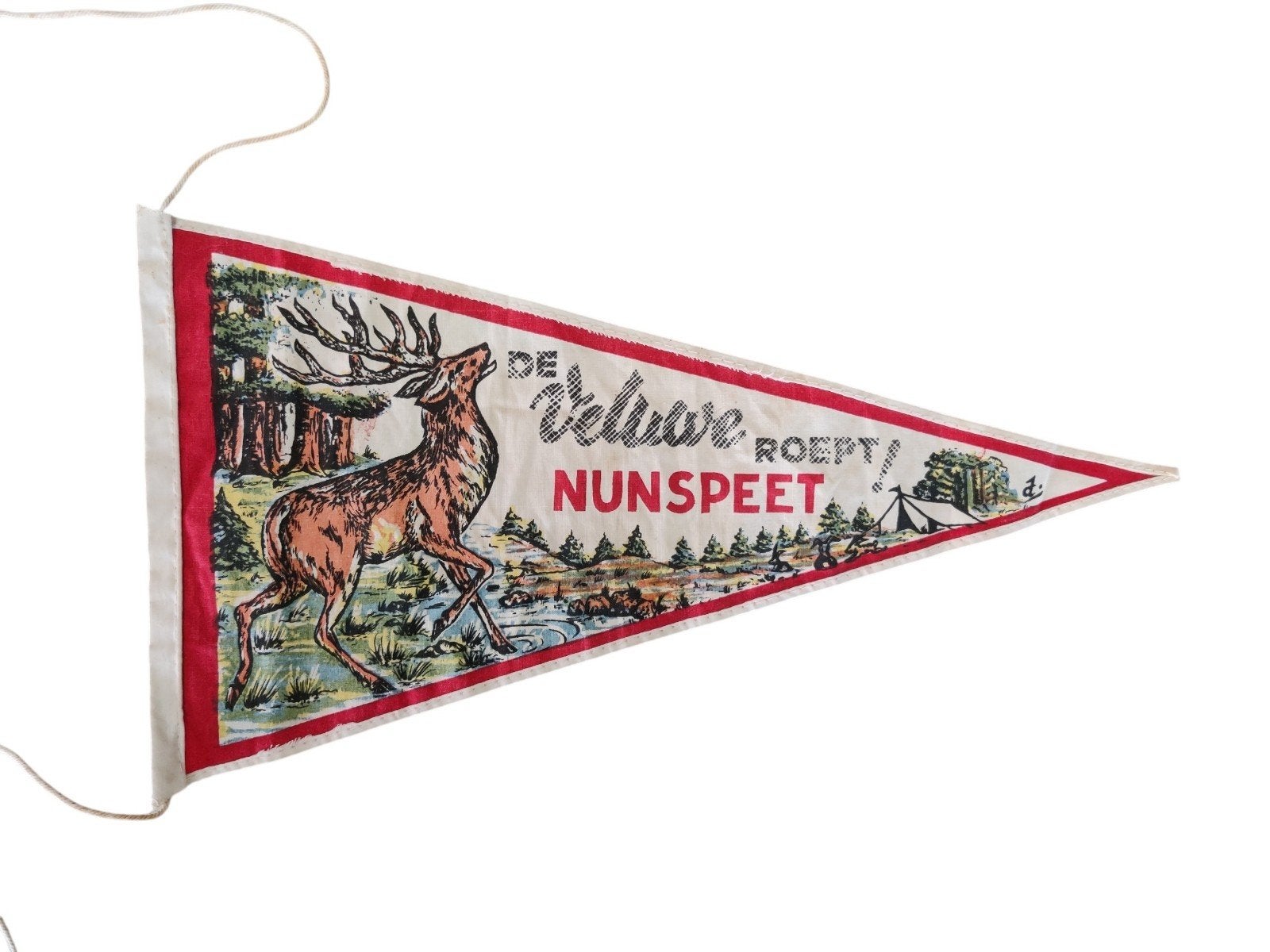 Originele fietsvlag Die Veluwe roept Nunspeet, Ophalen of Verzenden