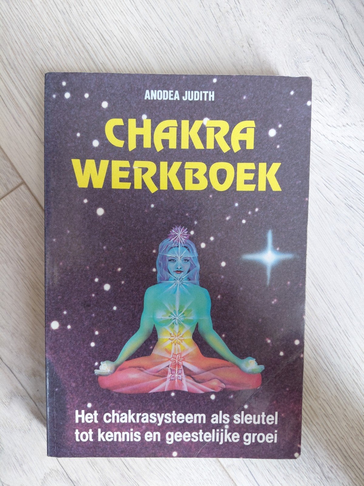 Chakra Werkboek - Anodea Judith (licht gearceerd), Boeken, Ophalen of Verzenden
