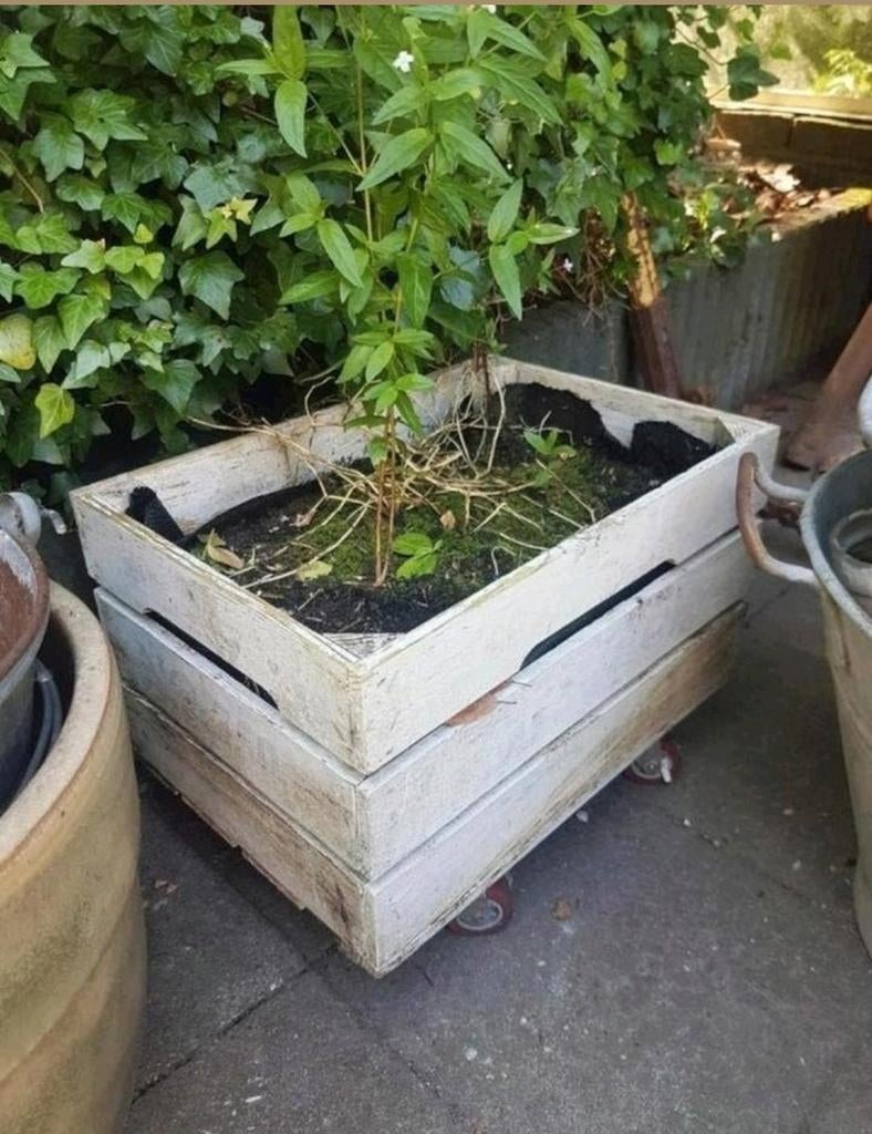 1 fruitkratje fruitkist kratten kisten kistjes kleiner en gr, Ophalen, Gebruikt, Minder dan 60 cm, Balkon