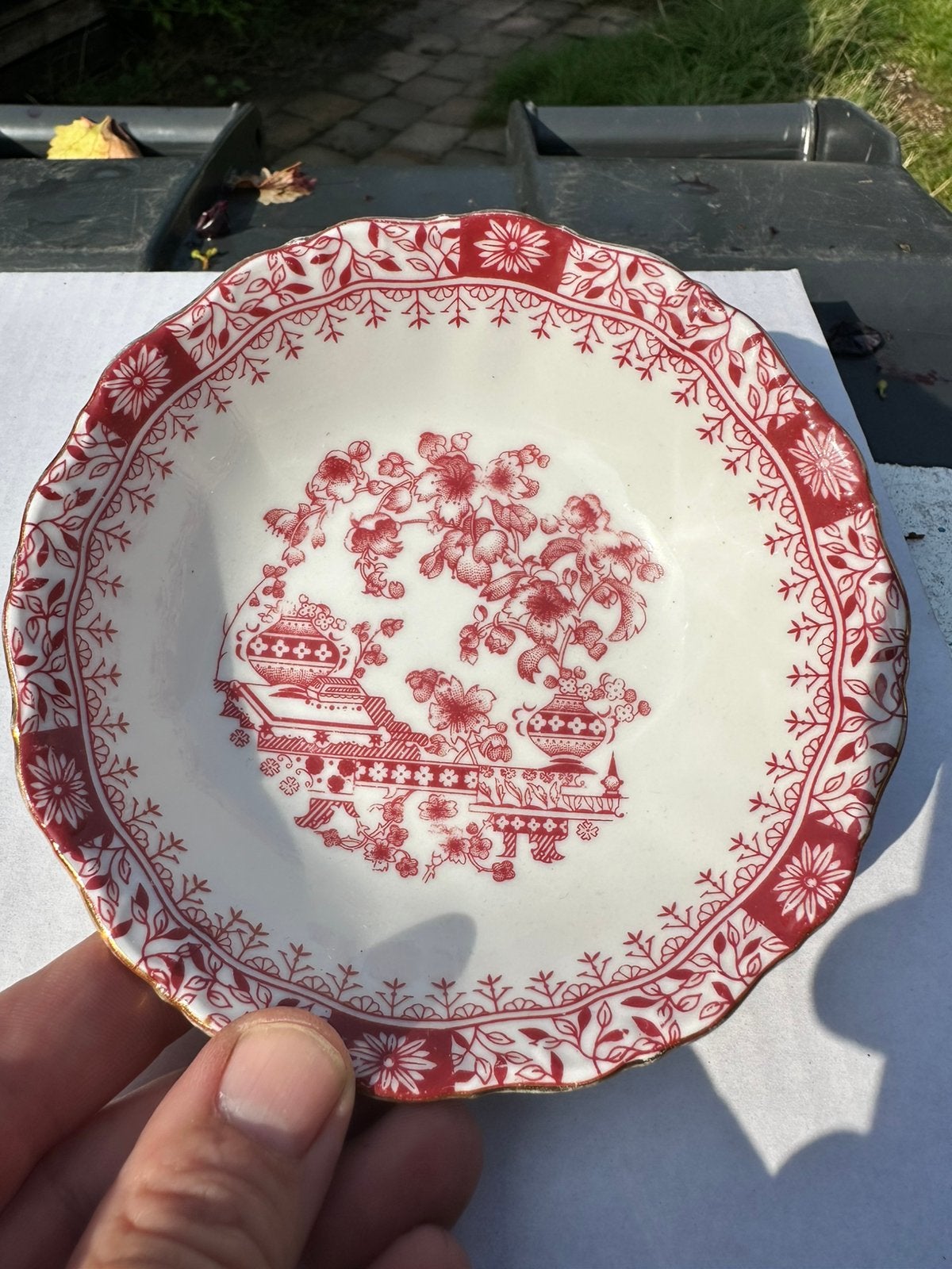 Schaaltje  Seltmann Weiden "Theresia Rood", Ophalen of Verzenden
