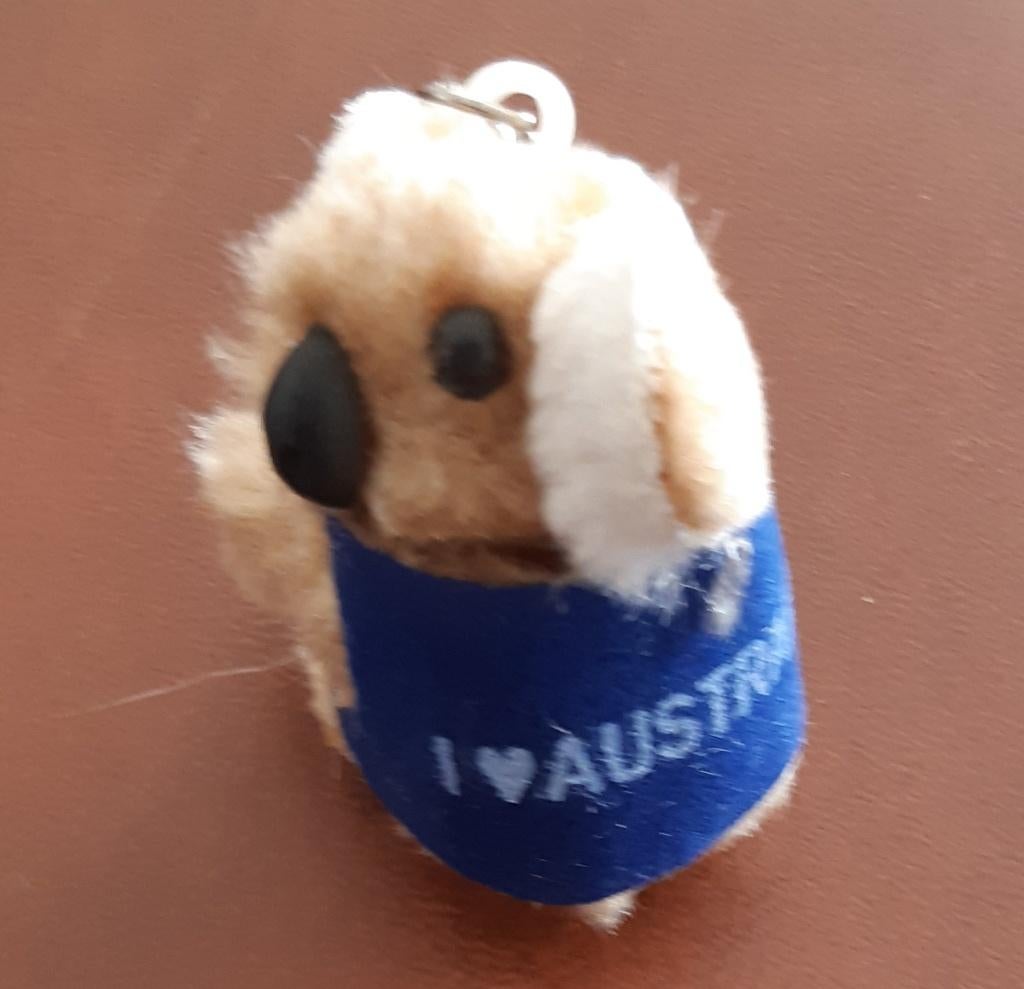 Koala beer Australie blauw sleutelhanger I Love Australia, Verzamelen, Ophalen of Verzenden, Nieuw