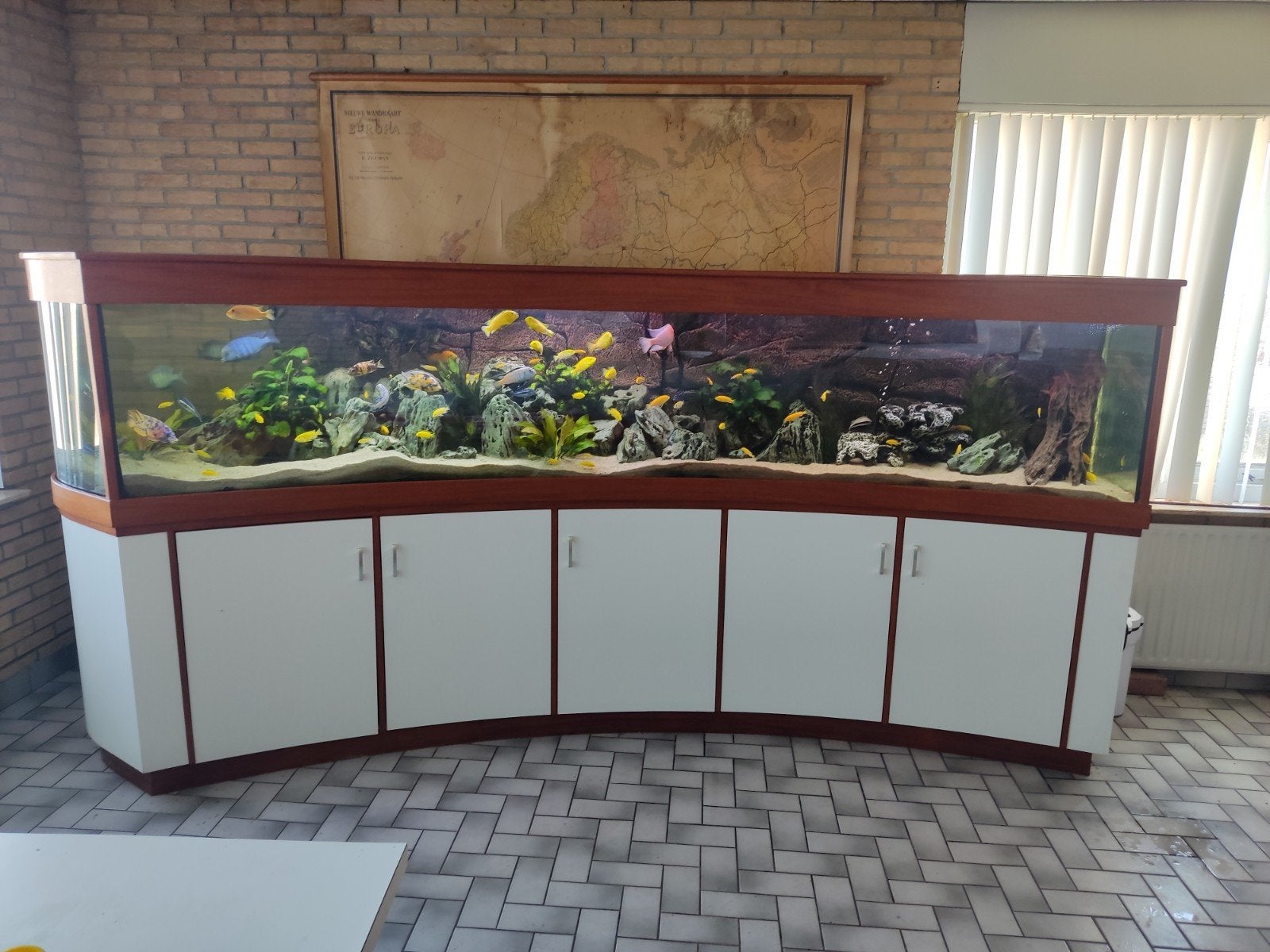 een aquarium maar er geen werk mee, Dieren en Toebehoren, Ophalen, Nieuw