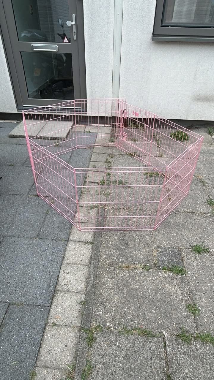 Puppy Ren Roze, Ophalen, Zo goed als nieuw