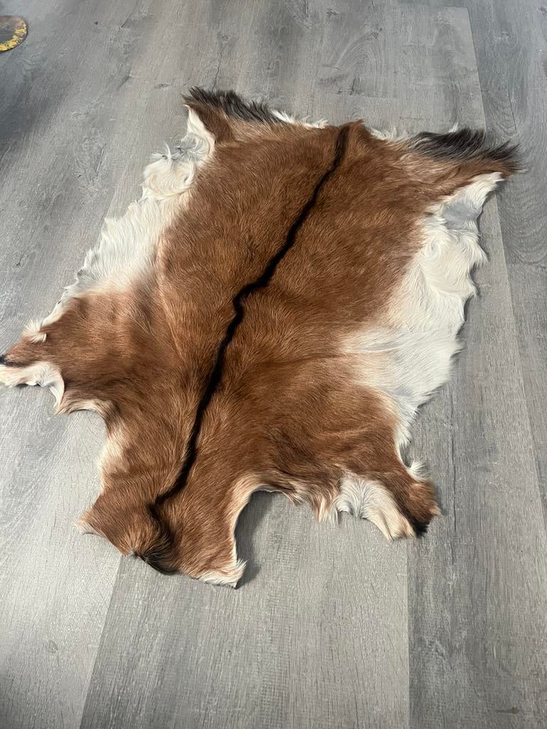 Geitenvacht, Ophalen, Zo goed als nieuw, Rechthoekig, 50 tot 100 cm