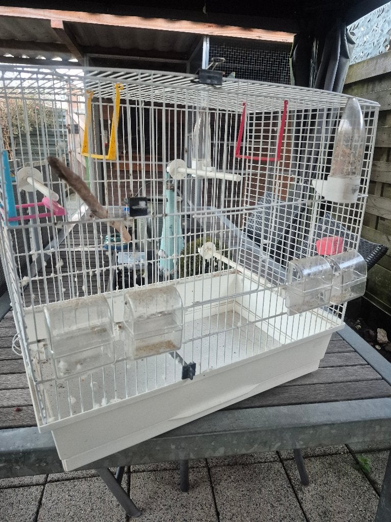 Vogelkooi, Ophalen, Gebruikt, Metaal, Vogelkooi