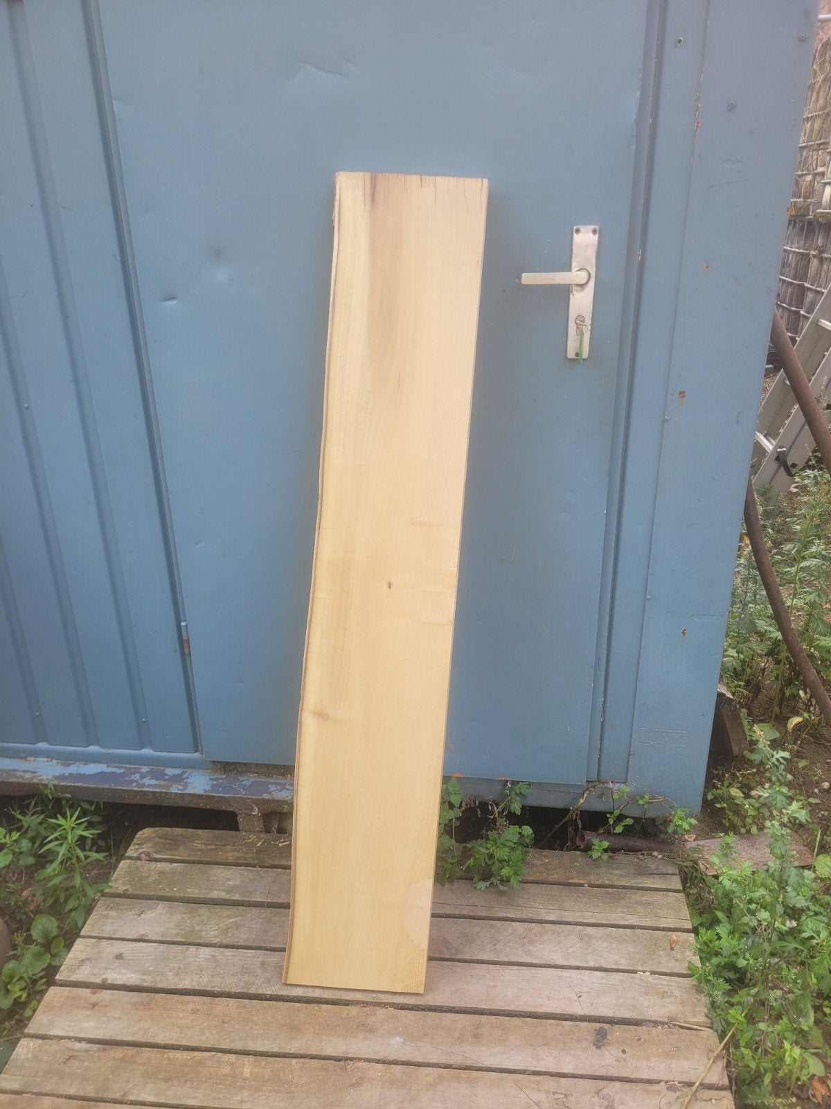 schaaldeel boomplank wandplank vensterbank ACACIA (ROBINIA), Ophalen of Verzenden, Nieuw