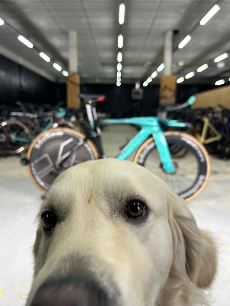 Bianchi Aquila RC Disc Di2 Carbon TT, Ophalen, Zo goed als nieuw, Overige typen