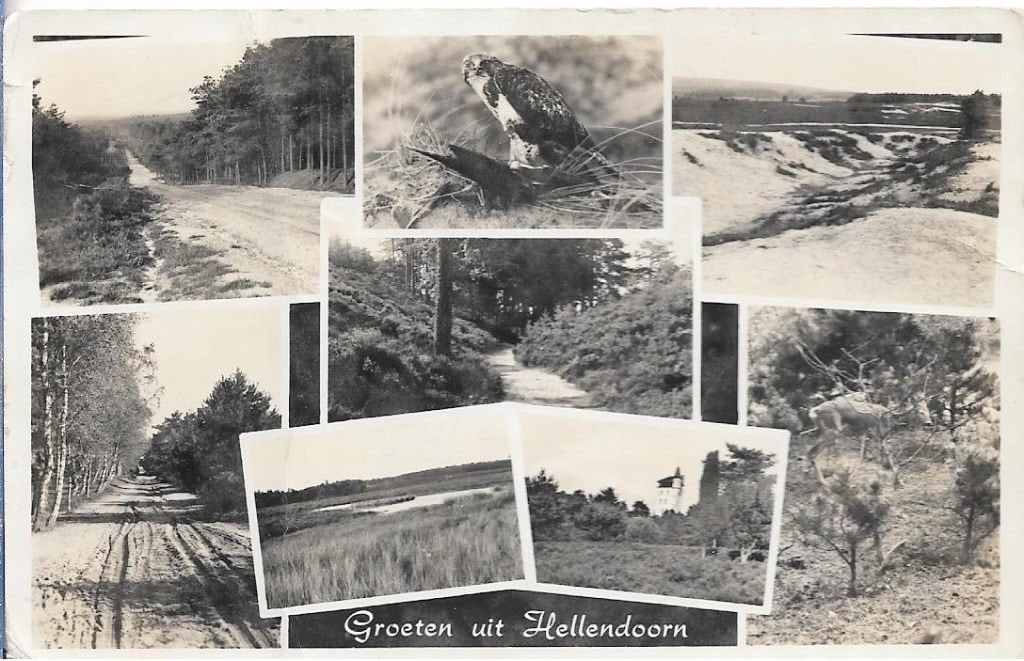 groeten uit Hellendoorn 1956, Verzenden, 1940 tot 1960, Gelopen, Overijssel