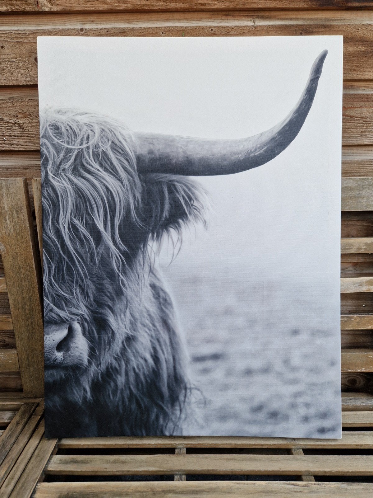 Canvas Schotse Hooglander Zwart-Wit, Ophalen