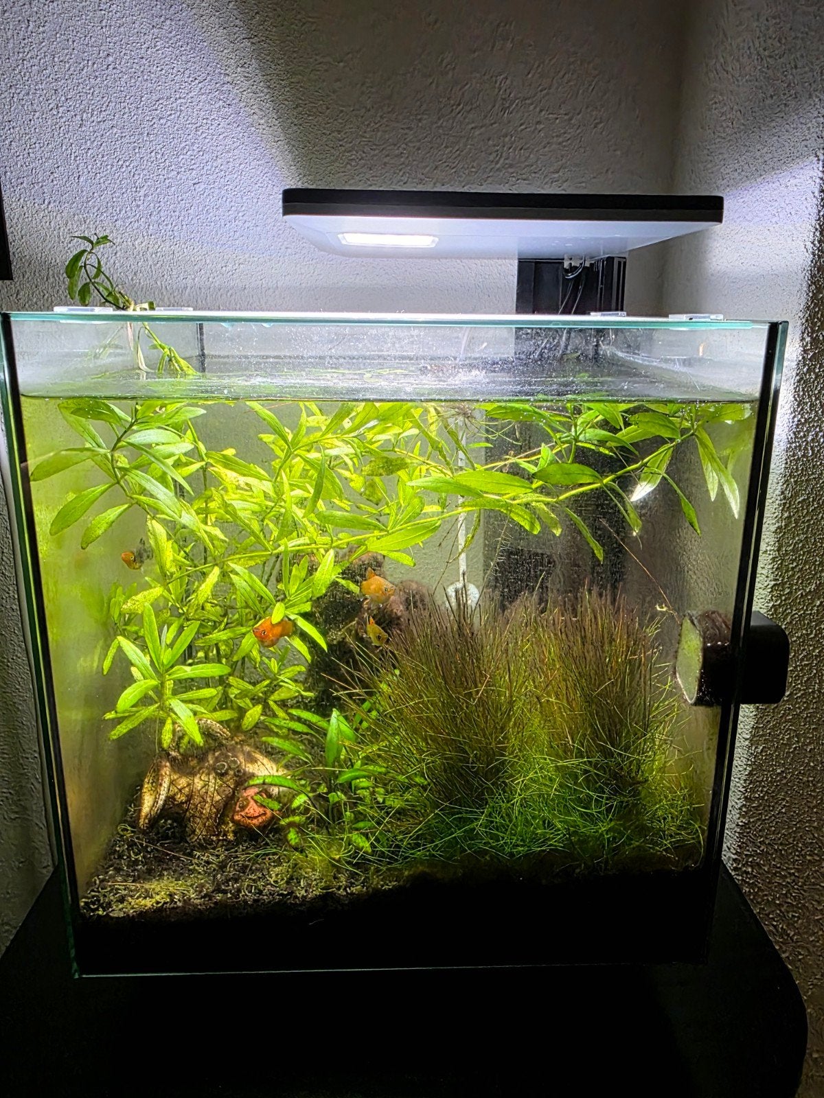 SuperFish aquarium Pro zwart 30L, Ophalen, Zo goed als nieuw, Leeg aquarium