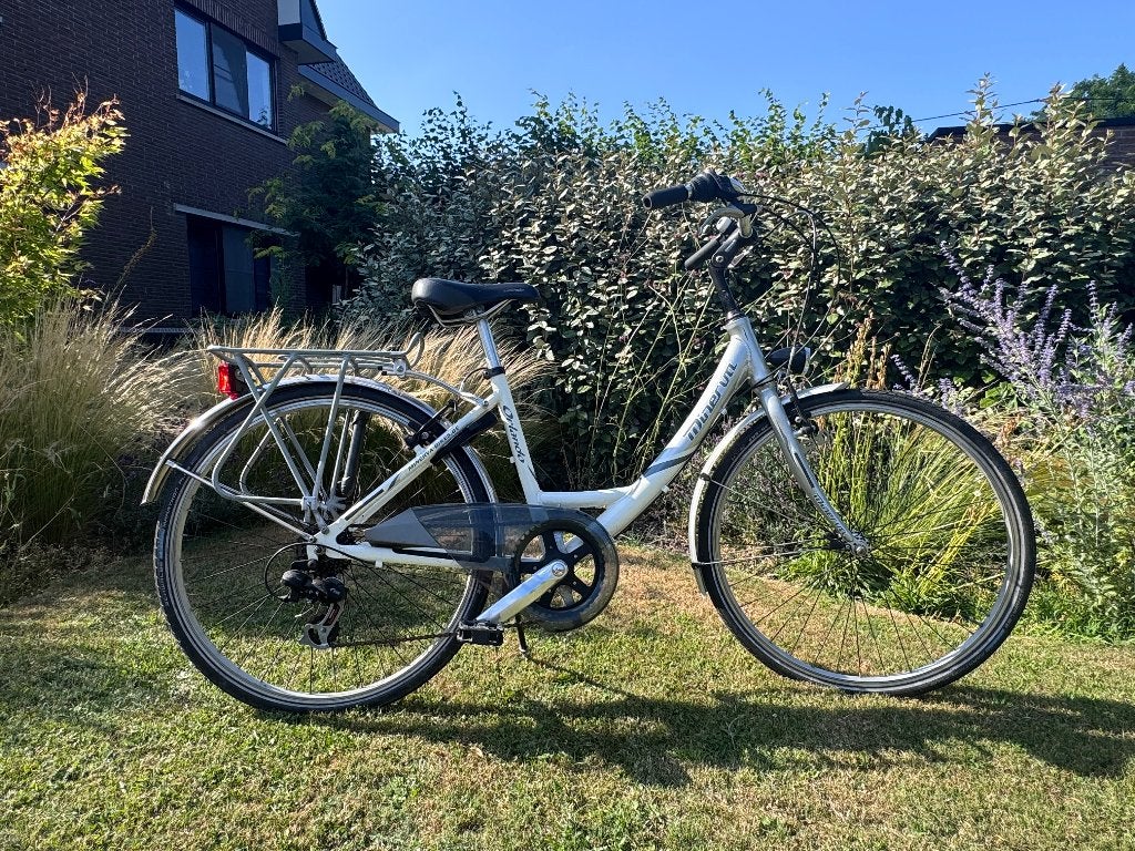 Minerva Damesfiets, Gebruikt, Velgrem, Versnellingen, Ophalen