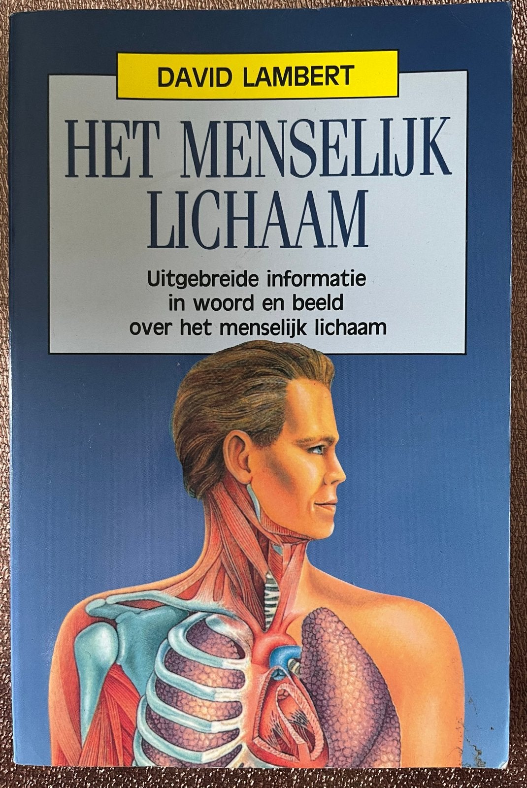 Het Menselijk Lichaam - David Lambert, Boeken, Ophalen of Verzenden, Gelezen, Natuurwetenschap