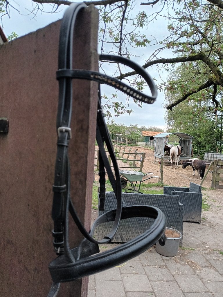 Hoofdstel maat pony/cob, Ophalen of Verzenden, Gebruikt, Hoofdstel, Cob