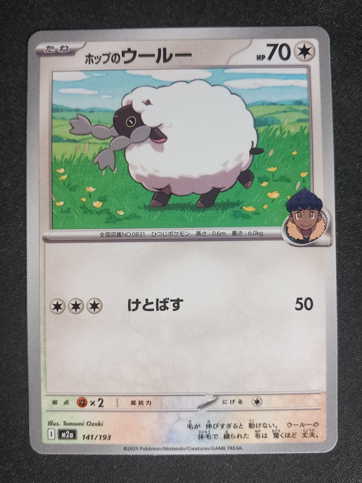Hop's Wooloo 141/193 Mega Dream ex Japans Excellent, Verzenden, Zo goed als nieuw, Losse kaart