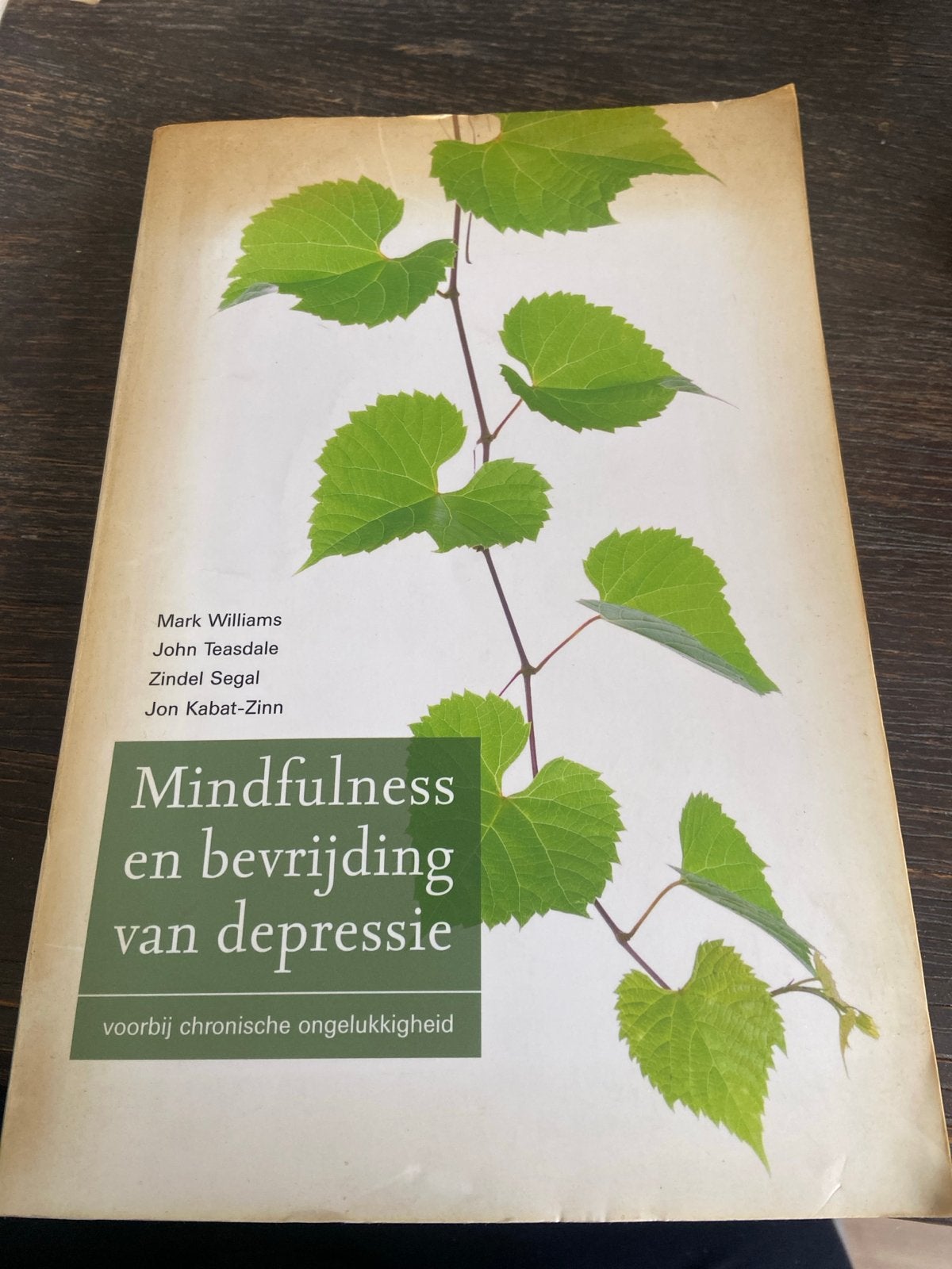 Mindfulness en bevrijding van depressie, Boeken, Ophalen of Verzenden, Gelezen, Klinische psychologie