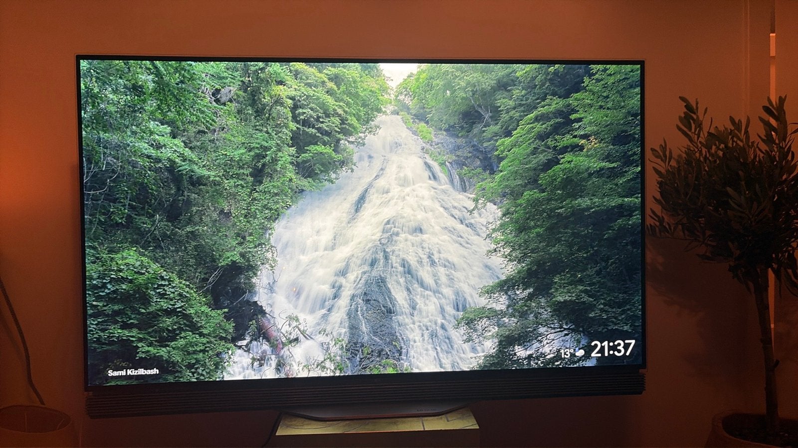 Foto 4 van Voet voor LG 55 inch TV