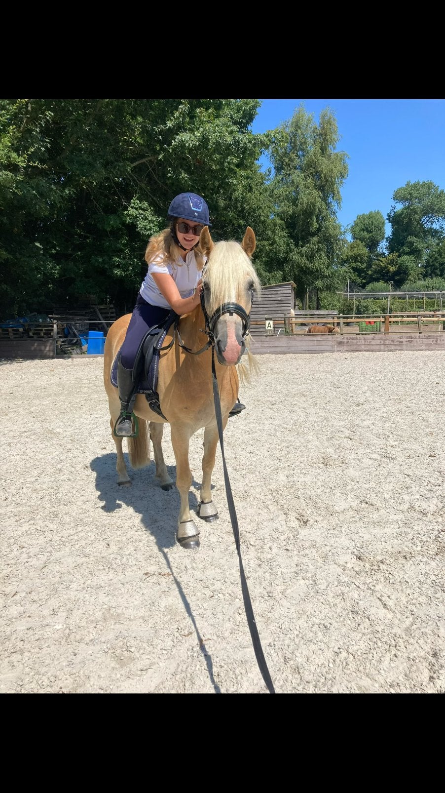 haflinger doorrijden