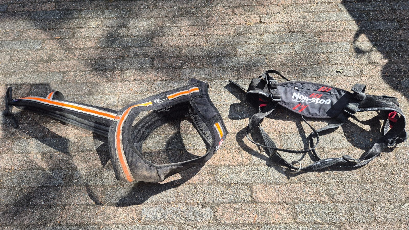 cani cross set / hardloopset hond, Ophalen of Verzenden