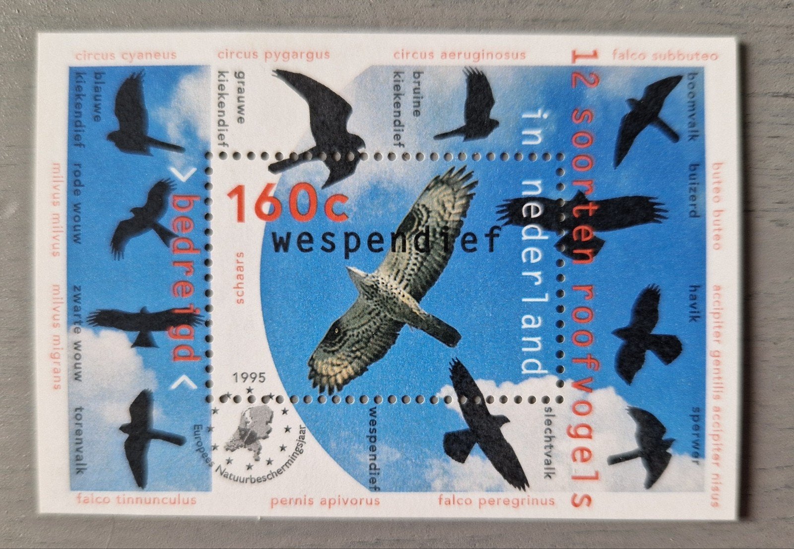Postzegel: 12 soorten roofvogels in Nederland (1995), Verzenden