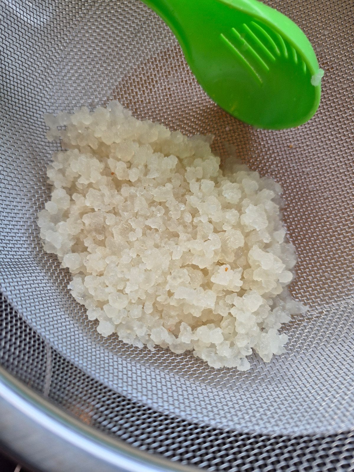Gratis waterkefir korrels, Diversen, Ophalen of Verzenden