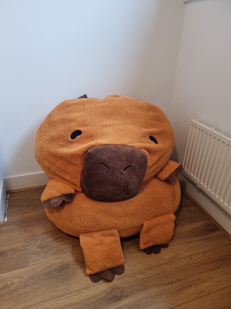Capibara, Kinderen en Baby's, Ophalen, Oranje, Overige merken, Overige karakters