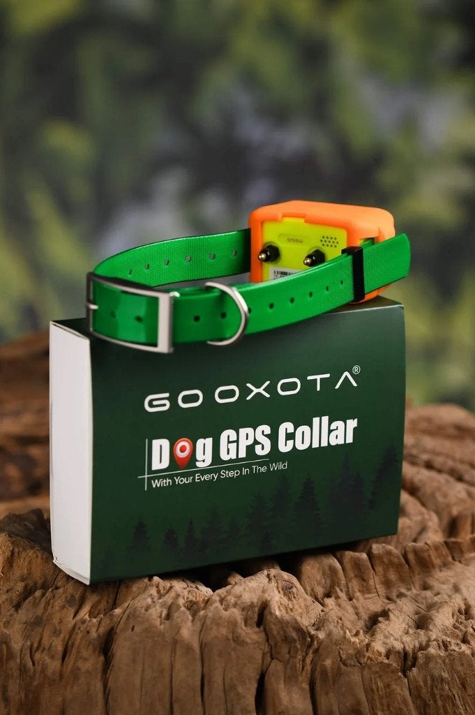 GPS-Tracker voor honden (Nieuw), Ophalen of Verzenden, Nieuw