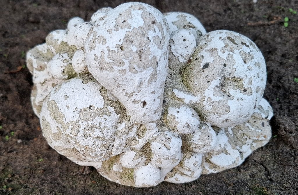 Tuin fruitmand, Tuin en Terras, Ophalen of Verzenden, Gebruikt, Steen