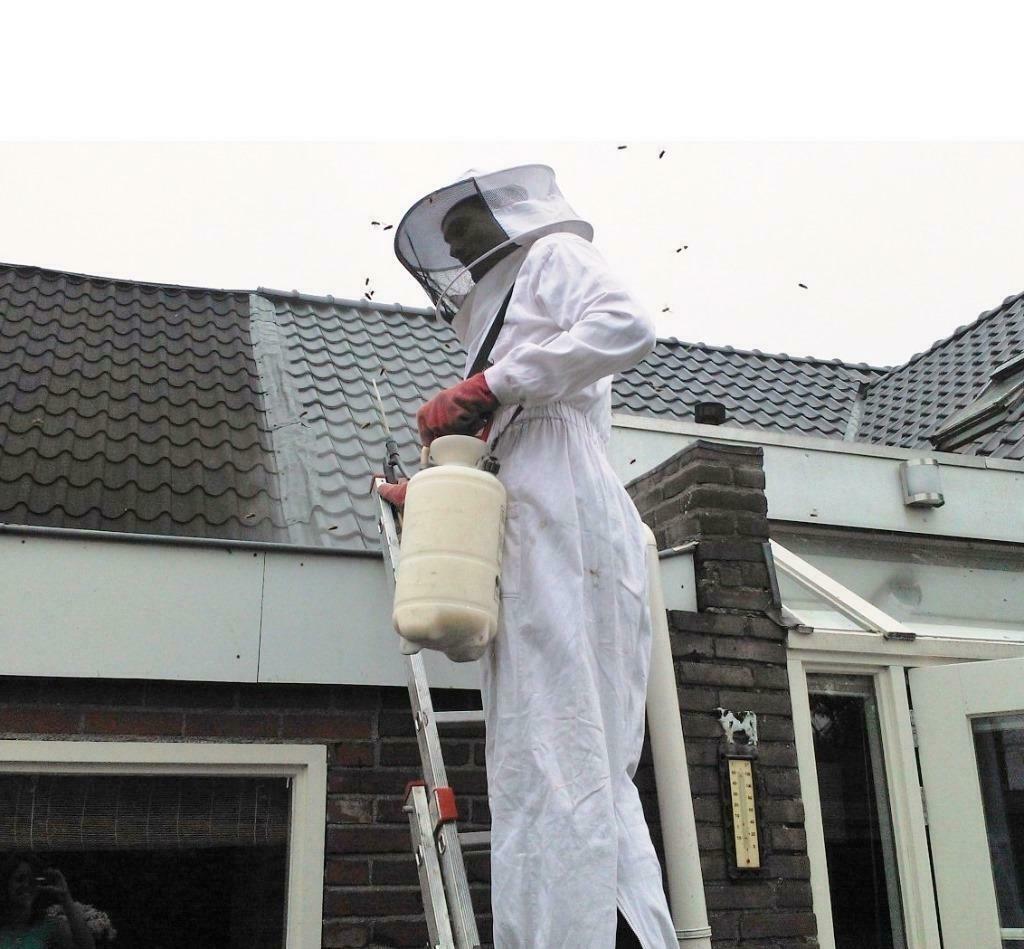 Wiekens Wespenbestrijding en Ongediertebestrijding, Muizen of Ratten