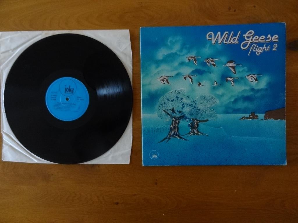 LP Wild geese - Flight 2, Ophalen of Verzenden, 12 inch