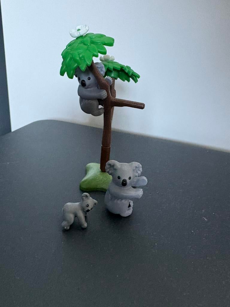 Koala’s 6654, Ophalen, Zo goed als nieuw