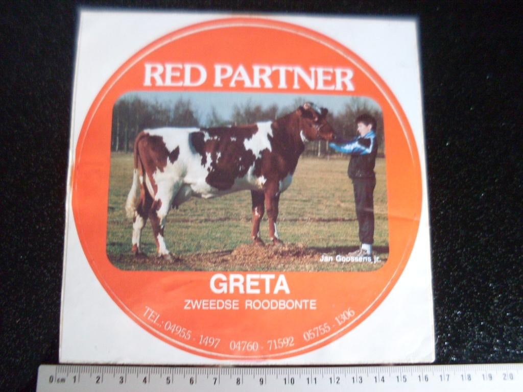 grote sticker red partner greta zweedse roodbonte koe, Ophalen of Verzenden, Zo goed als nieuw, Bedrijf of Vereniging