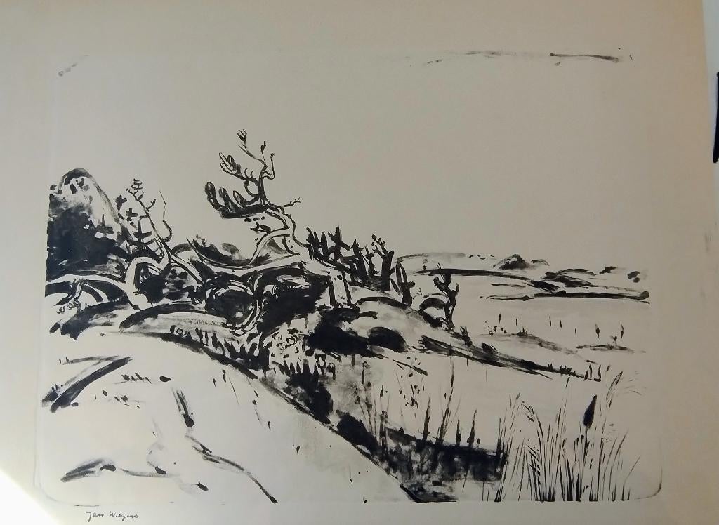 Jan Wiegers, Antiek en Kunst, Ophalen of Verzenden