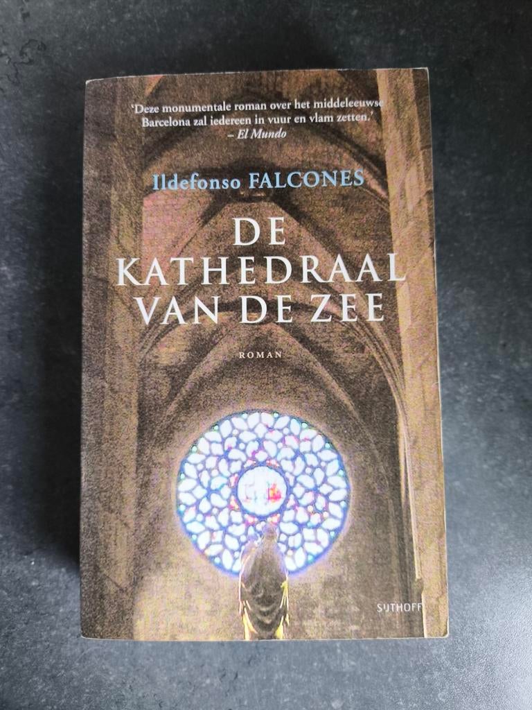 De Kathedraal van de Zee - Ildefonso Falcones, Boeken, Romans, Ophalen of Verzenden