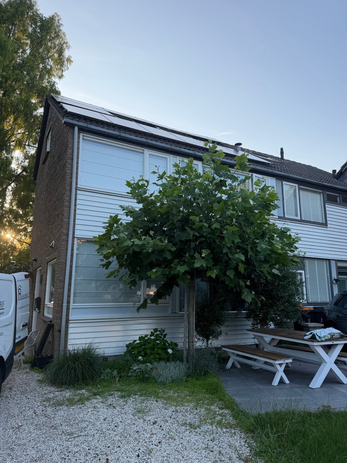 Boom te koop - Zelf eruit halen, Tuin en Terras, Planten | Bomen, Bloeit niet, Overige soorten, 250 tot 400 cm, Ophalen
