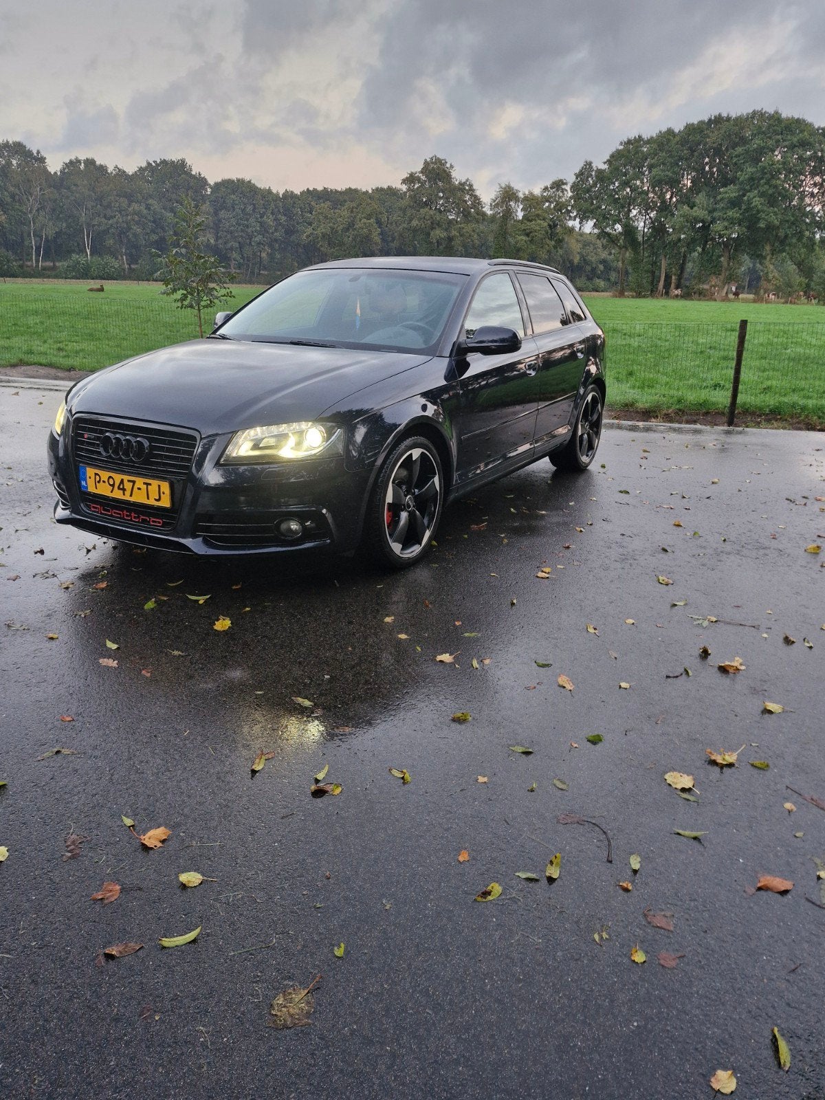 Audi 2012 blauw, nieuw motorblok!, Auto's, Automaat, 4 cilinders, 1984 cc, Leder en Stof
