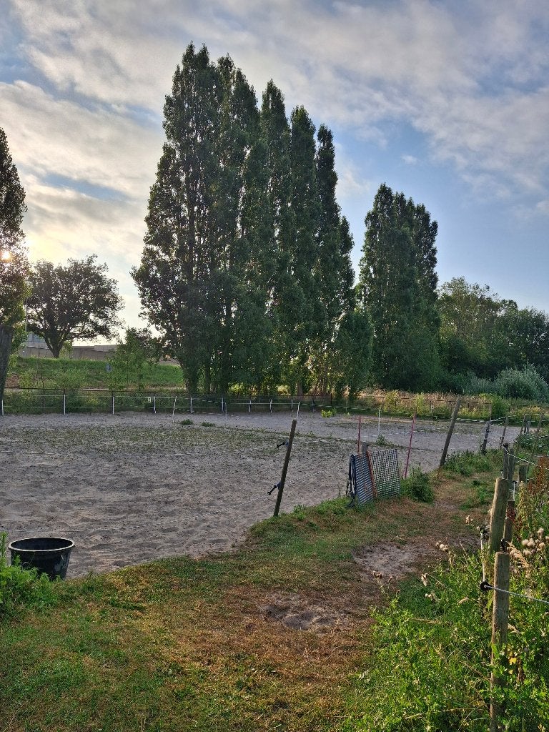 Plekje vrij op 'doe het zelf'-stal nabij Aalsmeer, Dieren en Toebehoren, Stalling en Weidegang, Weidegang, 1 paard of pony
