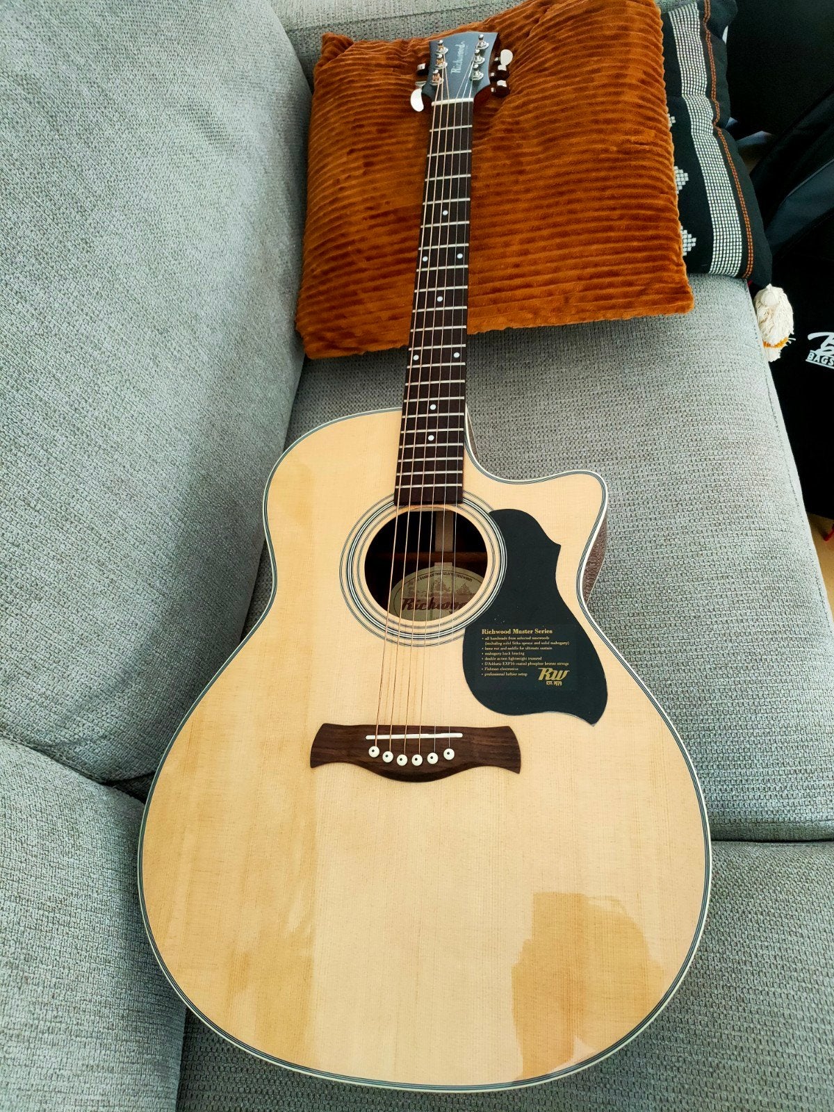 Richwood G 60 GE, Ophalen, Nieuw, Western- of Steelstringgitaar, Met (piezo-)element