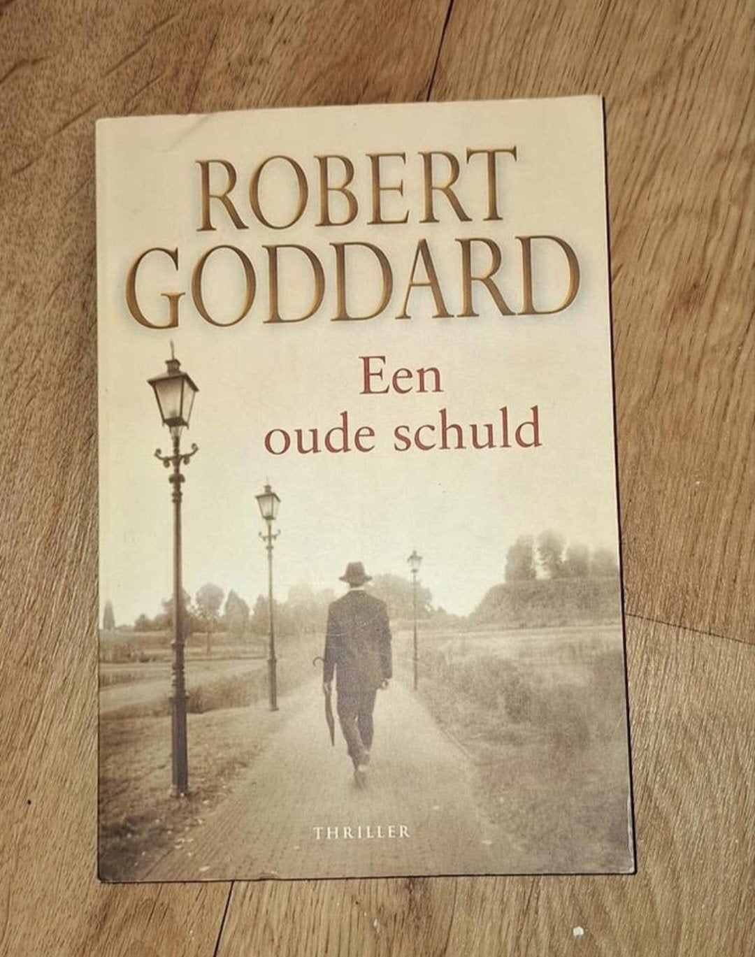 Robert Goddard - Een oude schuld (Thriller), Ophalen of Verzenden, Zo goed als nieuw, Robert Goddard, Europa overig
