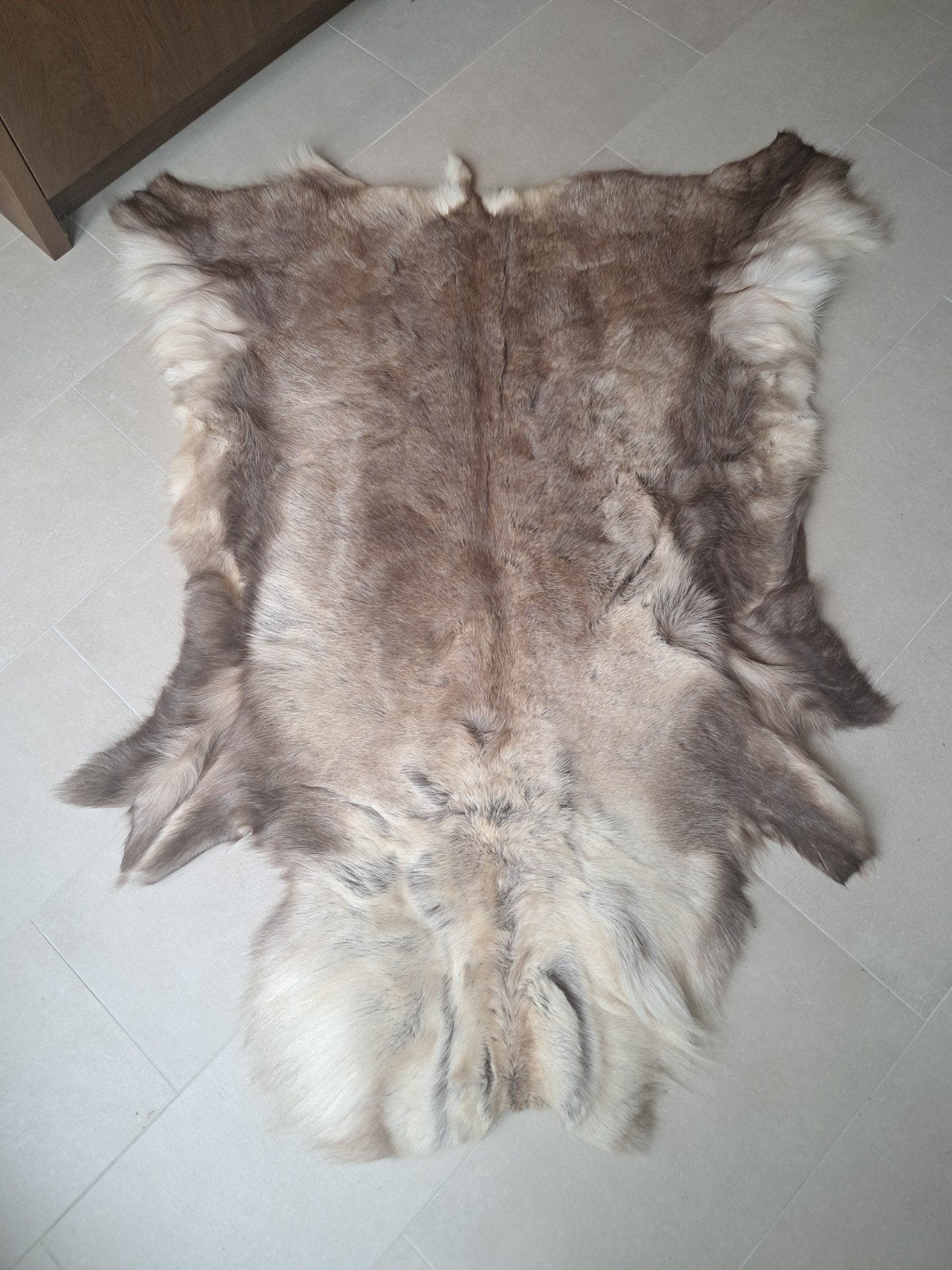 Rendiervel/ Vacht - Natuurlijke decoratie, Ophalen, 100 tot 150 cm, Grijs, 50 tot 100 cm