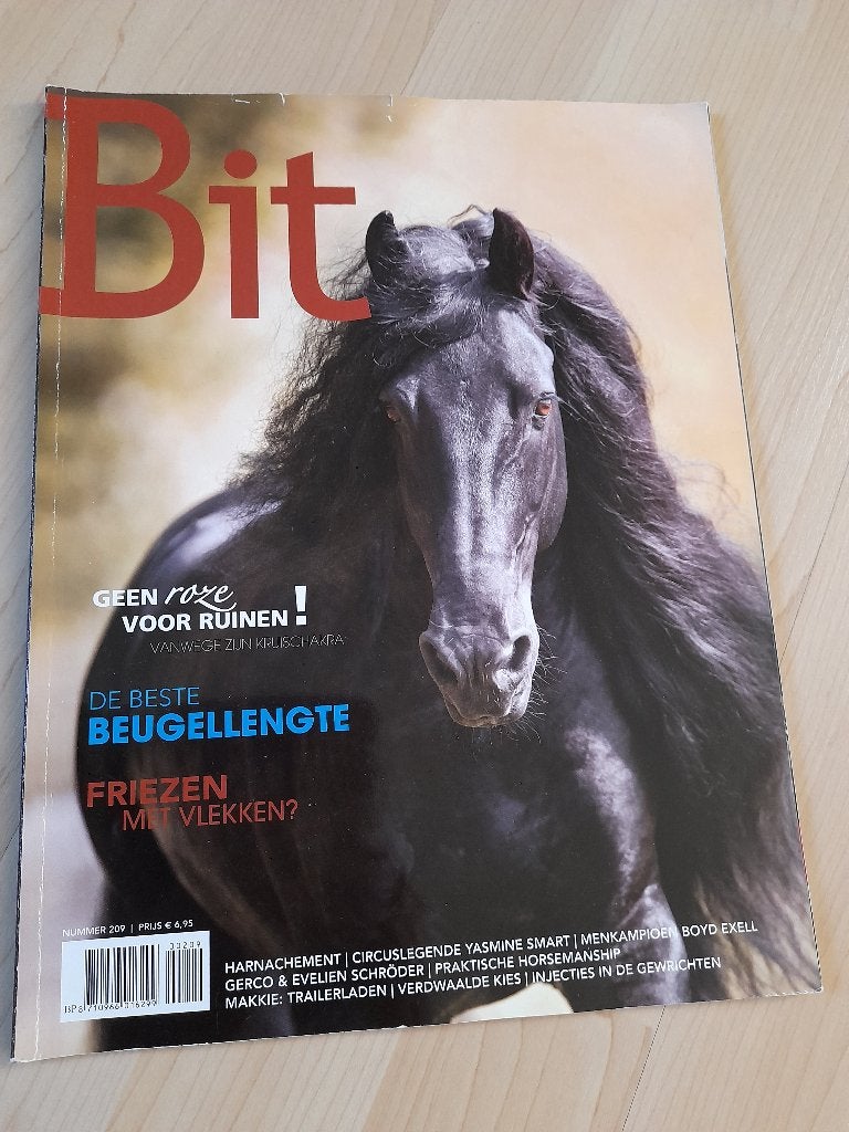 TIJDSCHRIFT BIT 209 van 2013, Ophalen of Verzenden, Zo goed als nieuw, Overige typen