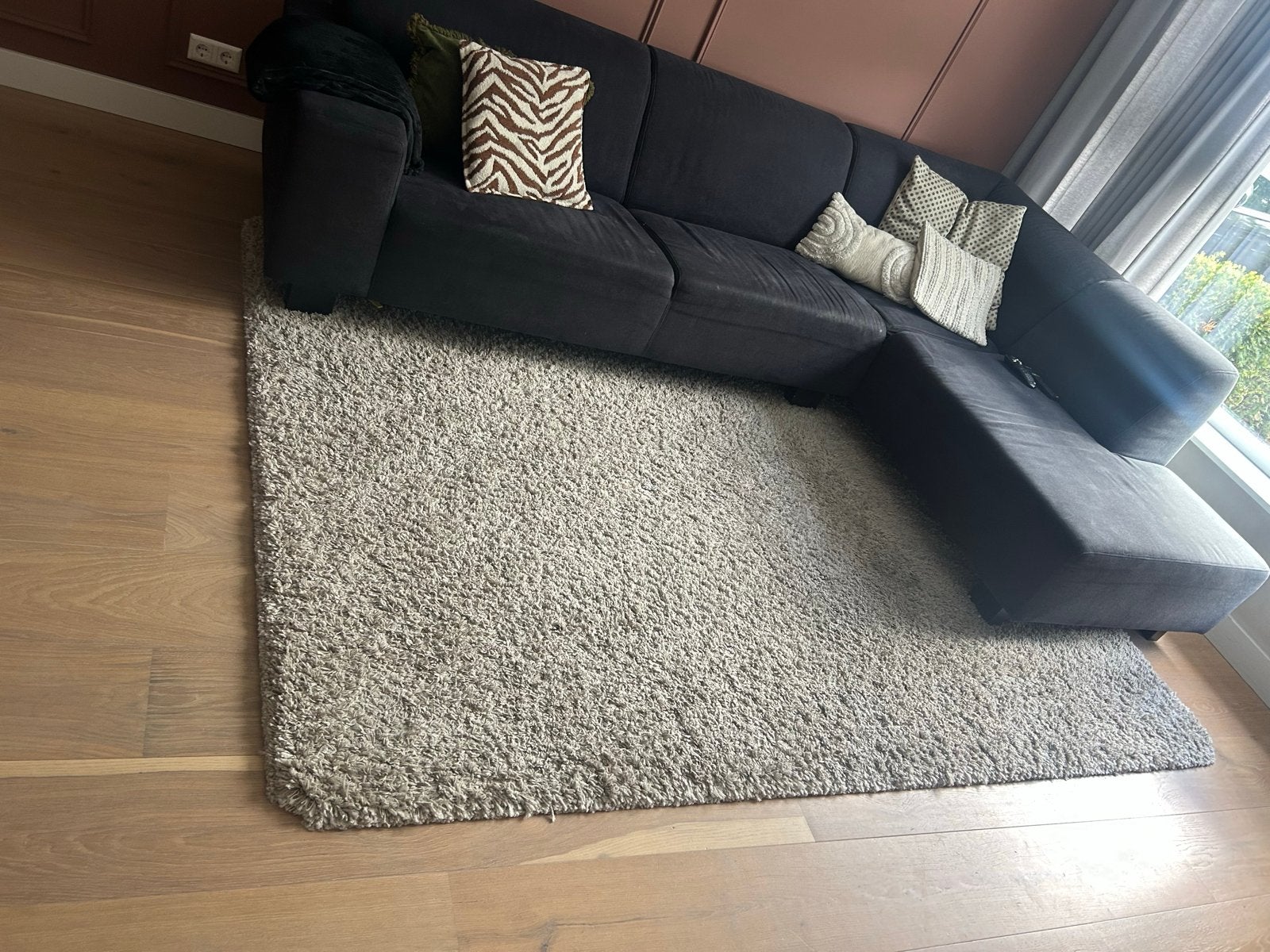 Beige Vloerkleed, Huis en Inrichting, Ophalen, Gebruikt, Beige, 200 cm of meer