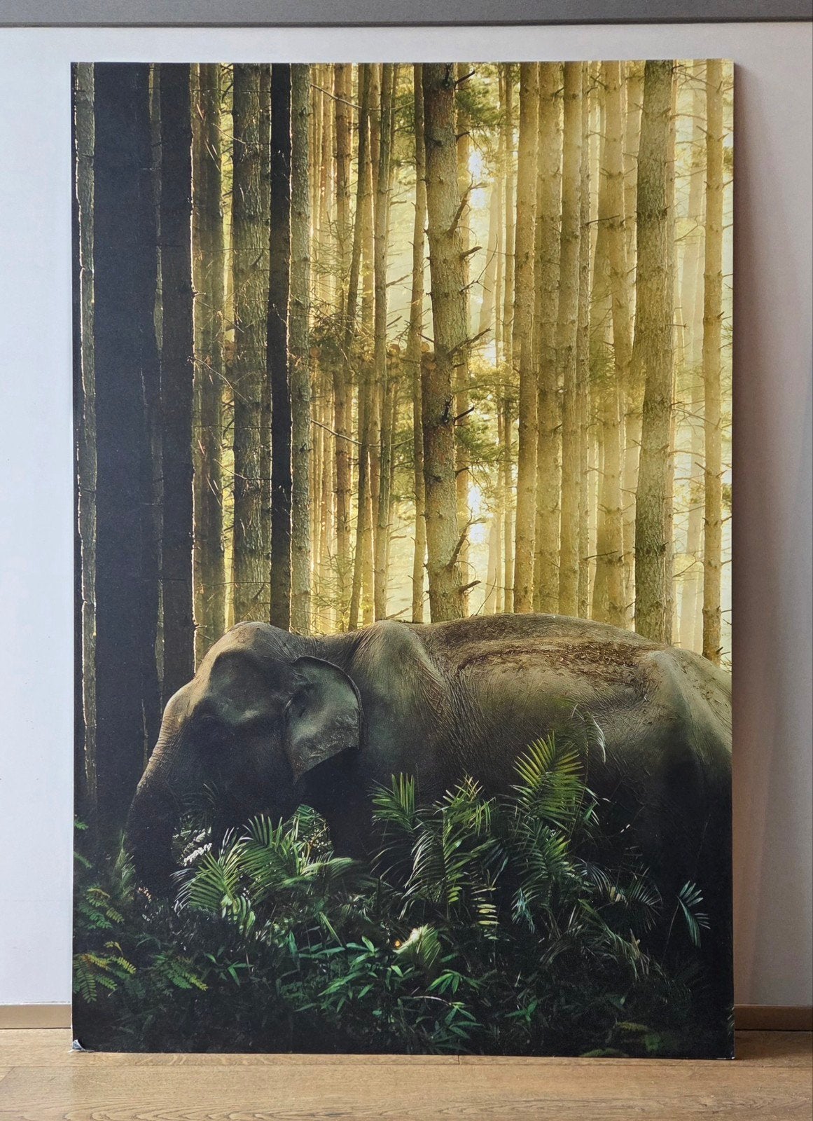 Aluminium Schilderij 0lifant Jungle, Ophalen