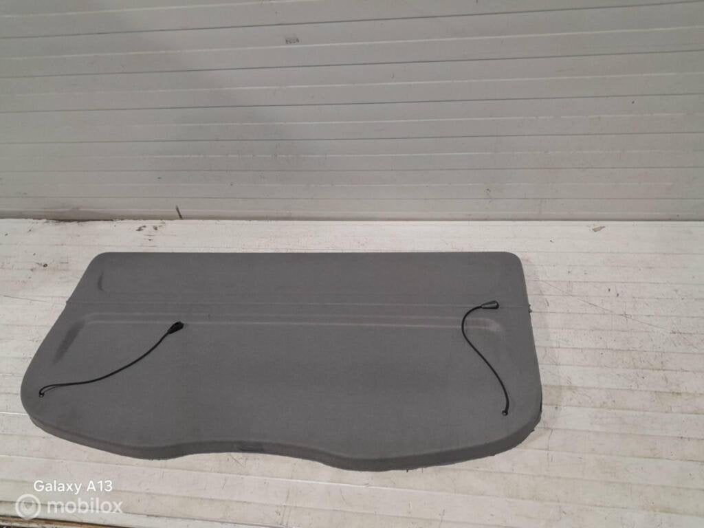 Hoedenplank Renault Scenic, Gebruikt, Ophalen of Verzenden
