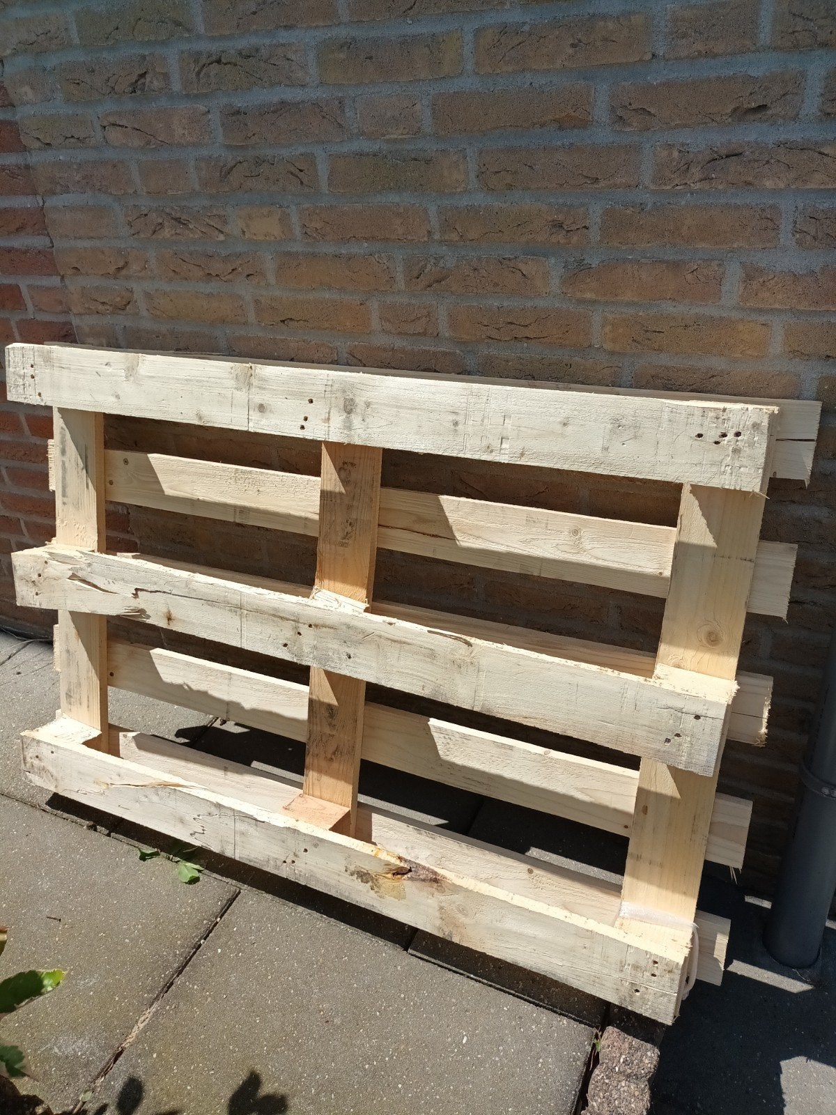 Pallet, Ophalen, Nieuw, 50 mm of meer, Minder dan 200 cm